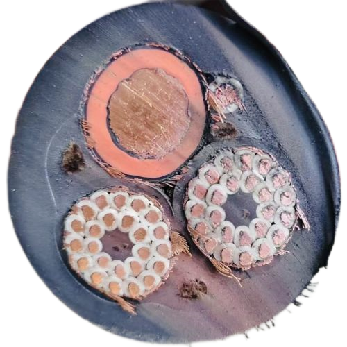 尊龙人生就是博·Z6「中国区」首页官网