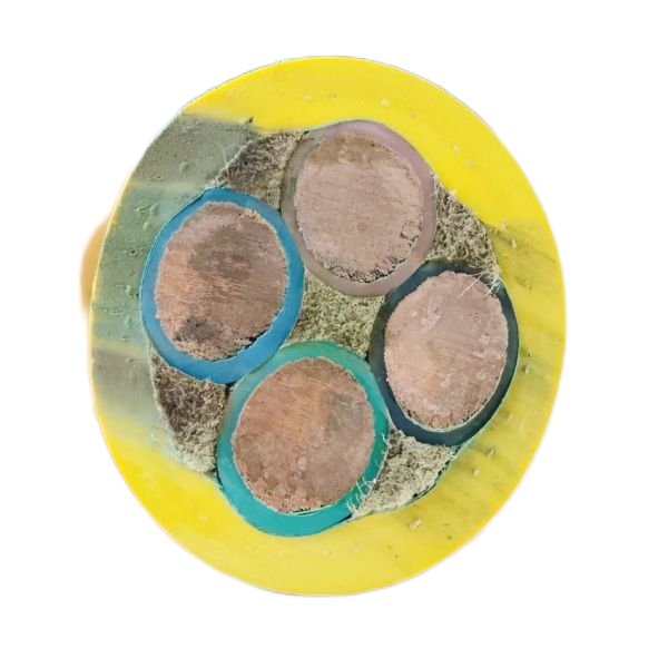 尊龙人生就是博·Z6「中国区」首页官网