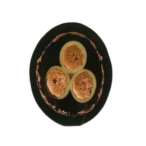 尊龙人生就是博·Z6「中国区」首页官网