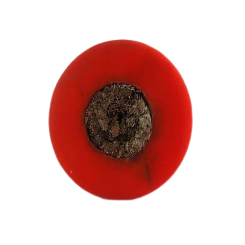 尊龙人生就是博·Z6「中国区」首页官网